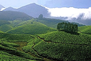 Семинары по йоге семинары по йоге - подробнее