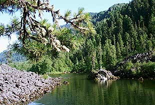 Семинары по йоге семинары по йоге - подробнее