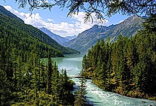 Семинары по йоге семинары по йоге - подробнее