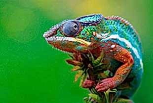 Семинары по йоге семинары по йоге - подробнее